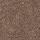 Mohawk Carpet: Tender Moment II Desert